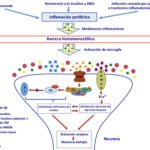 que investigaciones existen sobre insulina y alzheimer