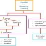 que ocurre cuando hay un exceso de hormonas peptidicas