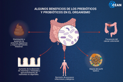 que papel juega el microbioma en la salud hormonal