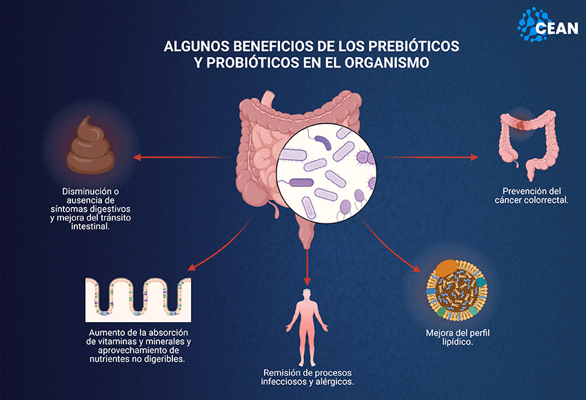 que papel juega el microbioma en la salud hormonal