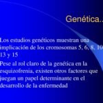 que papel juega la genetica en la hipoactividad