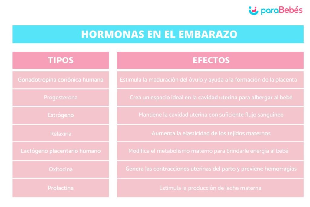 que papel juegan las hormonas en el desarrollo fetal