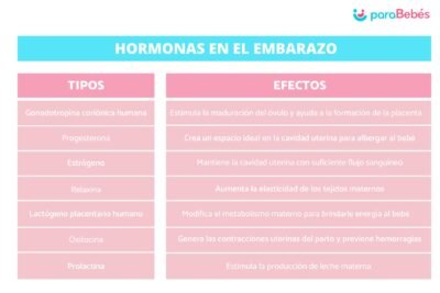 que papel juegan las hormonas en el desarrollo fetal
