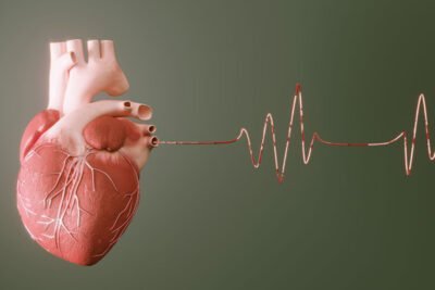que papel juegan los androgenos en la salud del corazon