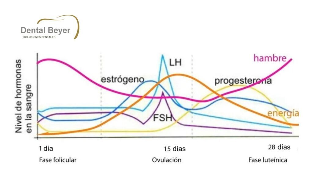 que papel juegan los estrogenos en la salud dental