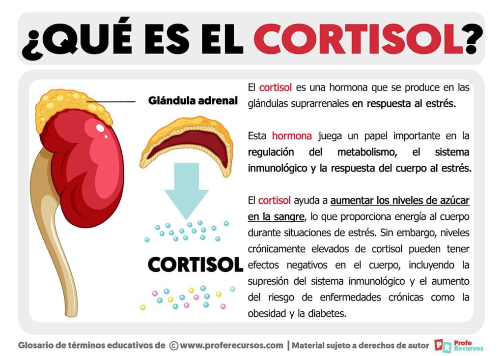 Qué papel tiene el cortisol en enfermedades crónicas 1 que papel tiene el cortisol en enfermedades cronicas