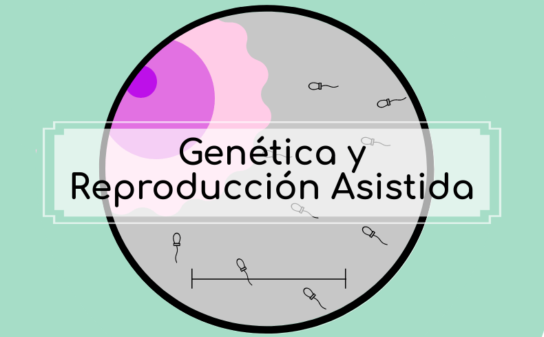 Qué papel tiene la genética en la salud reproductiva 1 que papel tiene la genetica en la salud reproductiva