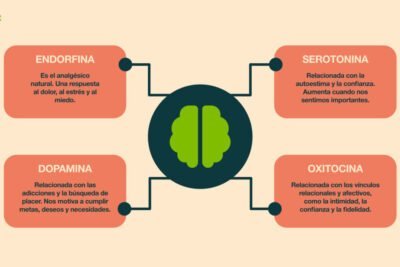que papel tienen las hormonas en el control del dolor