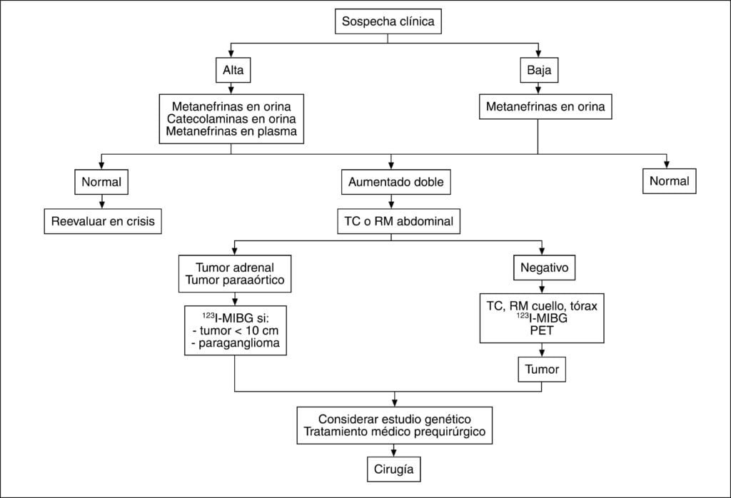 que pruebas se utilizan para detectar feocromocitoma
