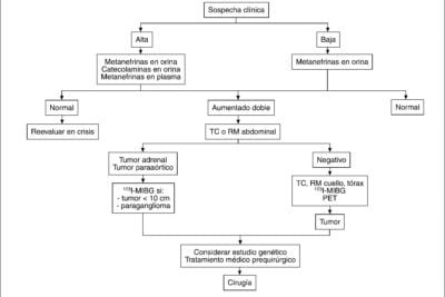 que pruebas se utilizan para detectar feocromocitoma