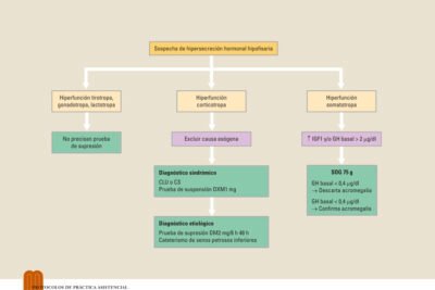 que pruebas se utilizan para evaluar el eje hormonal