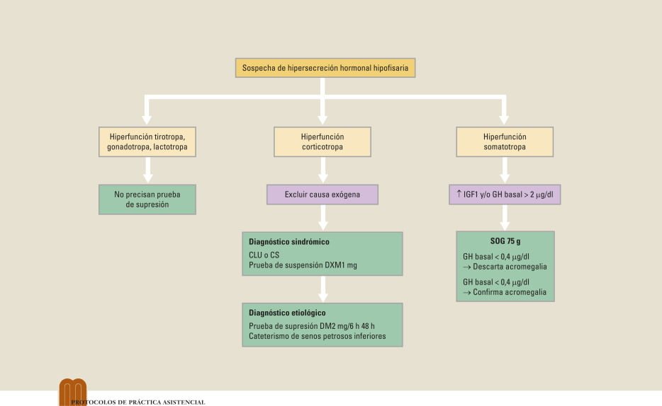 Qué pruebas se utilizan para evaluar el eje hormonal 1 que pruebas se utilizan para evaluar el eje hormonal