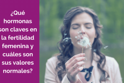 que relacion existe entre hormonas y fertilidad femenina