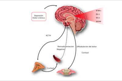 que relacion hay entre el cortisol y la depresion