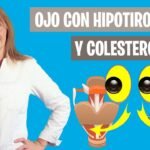 Qué relación hay entre la tiroides y el colesterol