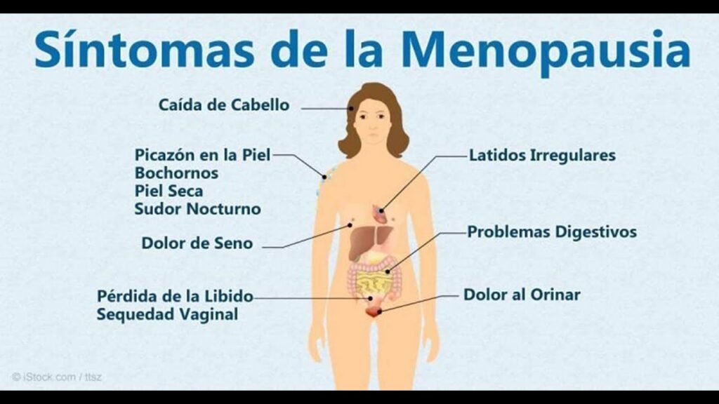 que significa vivir con menopausia a largo plazo