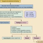 que son los inhibidores de cortisol y como funcionan