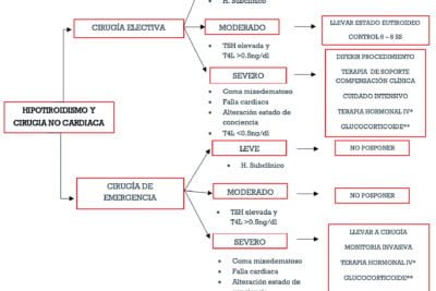 Qué tipo de seguimiento requiere un paciente endocrino 1 que tipo de seguimiento requiere un paciente endocrino