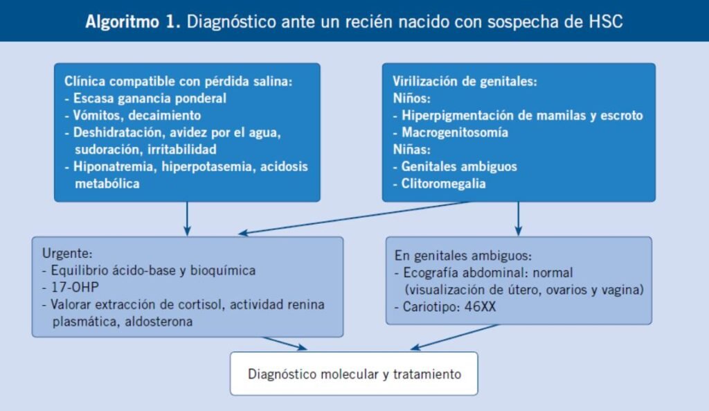 que tratamientos existen para la hiperplasia adrenal