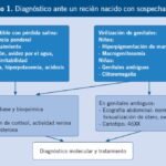 Qué tratamientos existen para la hiperplasia adrenal