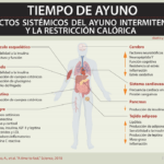 relacion entre el ayuno intermitente y el metabolismo humano