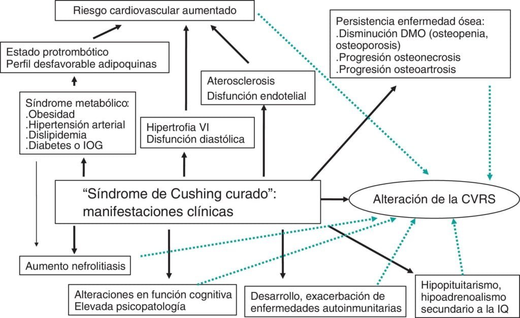 relacion entre el sindrome de cushing y el peso corporal