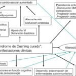 relacion entre el sindrome de cushing y el peso corporal