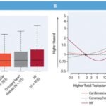 Relación entre estrógenos y enfermedades cardiovasculares