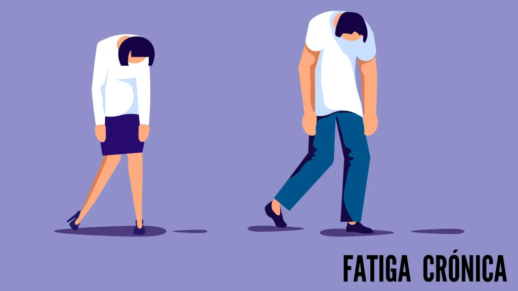 relacion entre metabolismo y fatiga cronica que sabemos