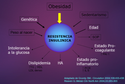 relacion entre resistencia a la insulina y obesidad claves esenciales