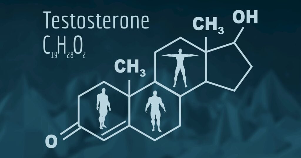 relacion entre testosterona y salud reproductiva en hombres