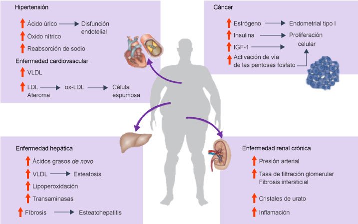 resistencia a la insulina impacto en glandulas y salud metabolica