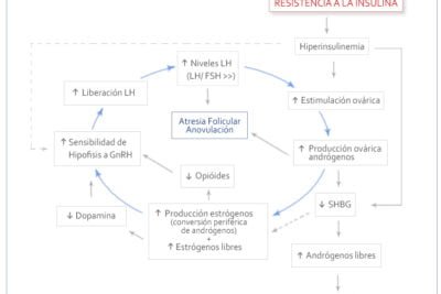 resistencia a la insulina y su efecto en desequilibrios hormonales