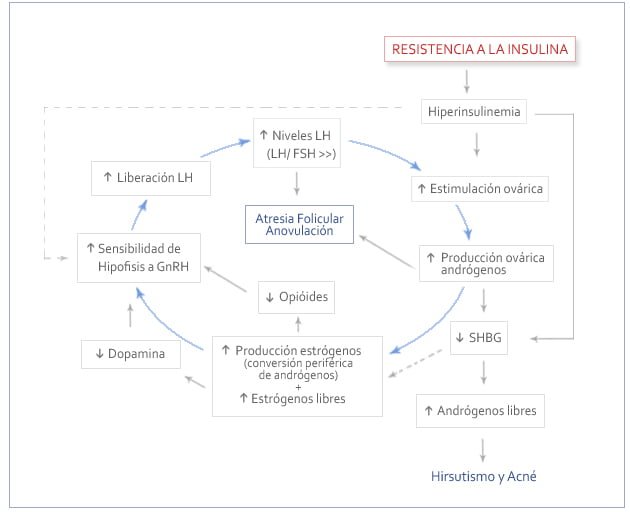 resistencia a la insulina y su efecto en desequilibrios hormonales