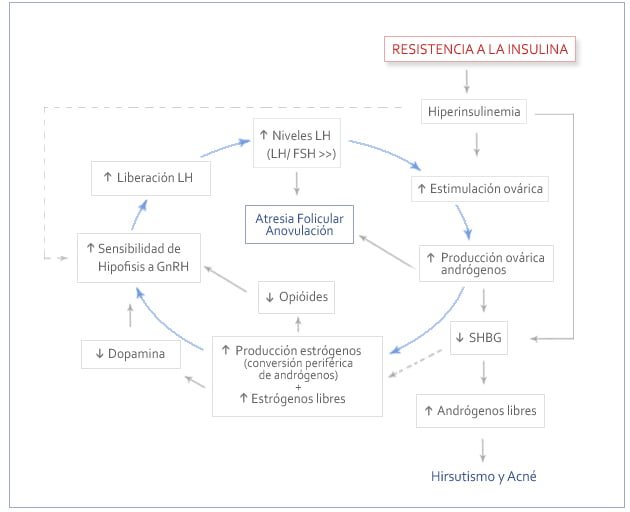 resistencia a la insulina y su relacion con los estrogenos
