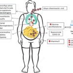 riesgos de la obesidad en endocrinologia y su impacto sanitario