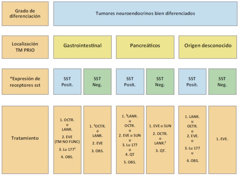 rol y relevancia de biomarcadores en diagnostico neuroendocrino