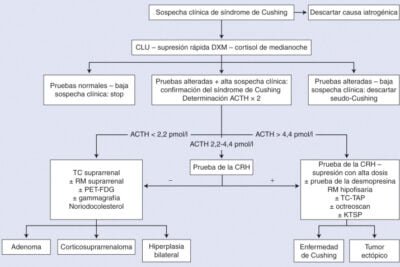 seguimiento clave para tratamientos del sindrome de cushing