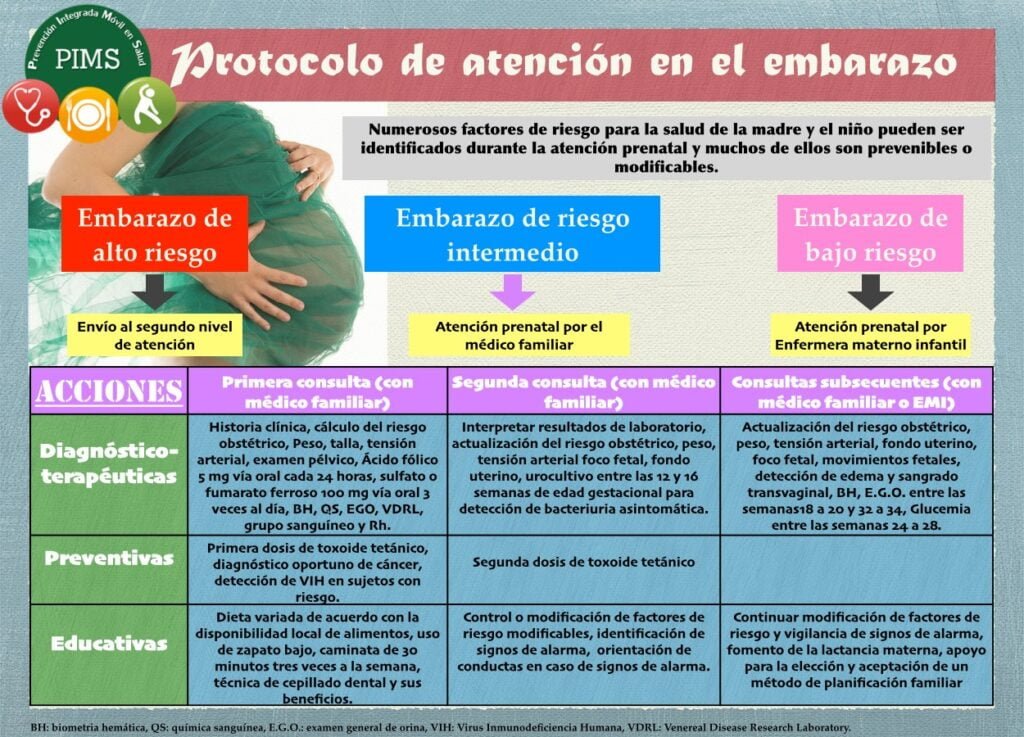 Seguimiento del embarazo de alto riesgo: pautas y recomendaciones 1 seguimiento del embarazo de alto riesgo pautas y recomendaciones