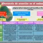 Seguimiento del embarazo de alto riesgo: pautas y recomendaciones