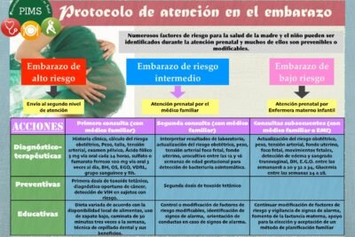 seguimiento del embarazo de alto riesgo pautas y recomendaciones