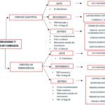 seguimiento medico de la tirotoxicosis aspectos y consejos