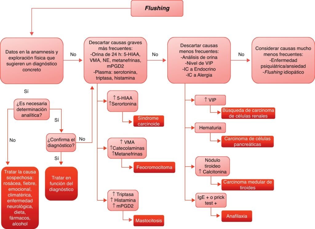 sindrome carcinoide sintomas y tratamiento explicados