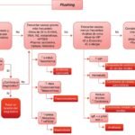 Síndrome carcinoide: síntomas y tratamiento explicados