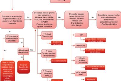 sindrome carcinoide sintomas y tratamiento explicados