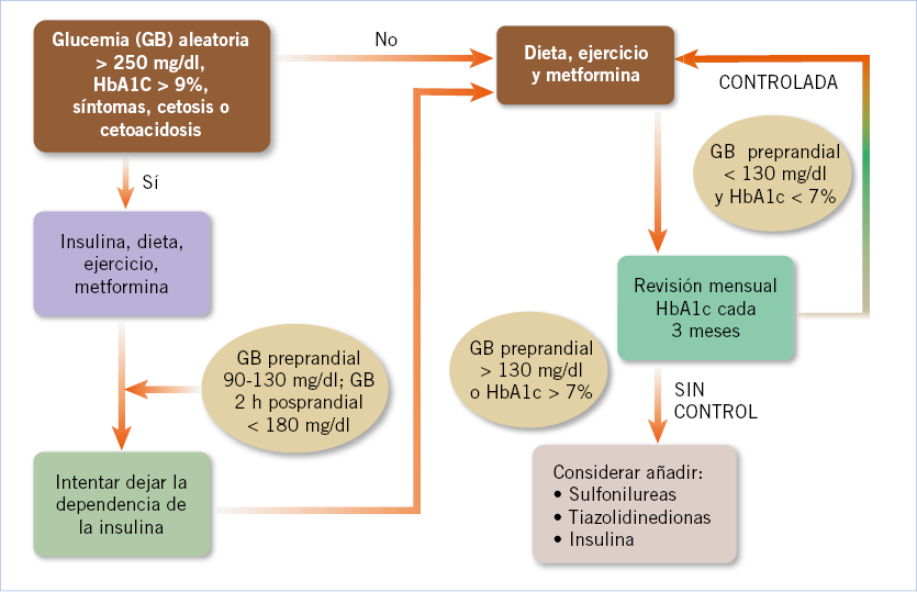 sindrome metabolico informacion esencial y efectos