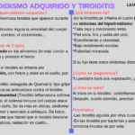 sintomas y caracteristicas comunes del hipotiroidismo en adultos