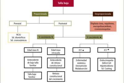 talla baja causas efectos en la salud y sus implicaciones