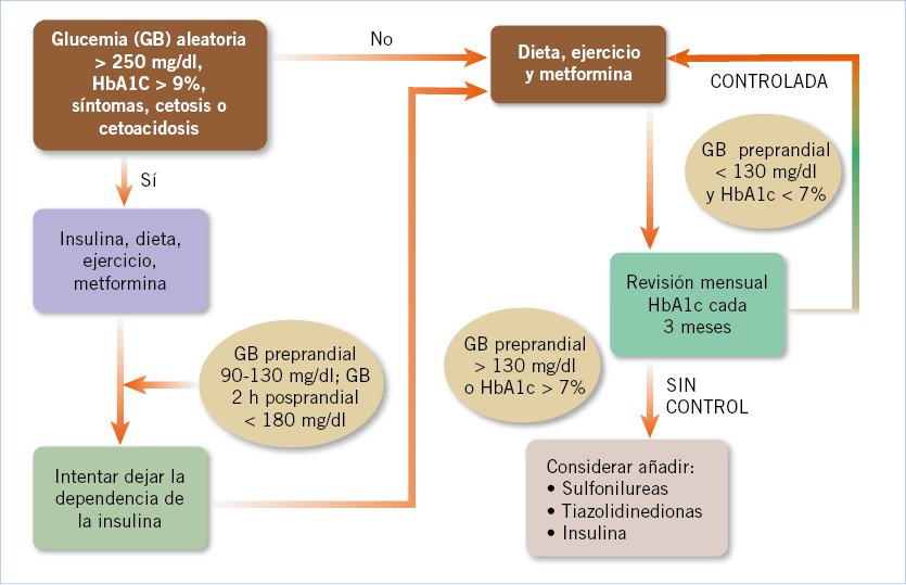 Técnicas para diagnosticar problemas metabólicos en pacientes 1 tecnicas para diagnosticar problemas metabolicos en pacientes