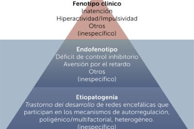 tecnologias para el monitoreo de la hipoactividad